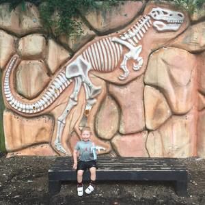 Meet your Posher, Julie